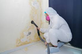 Forensic Mold Investigation in Gonzales, LA